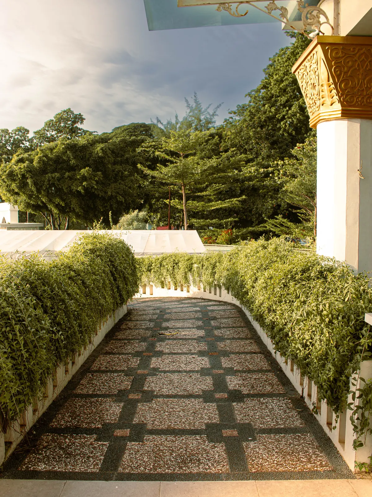 A hedged garden path running toward late afternoon sun