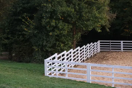 A rail fence running the edge of a wooded lot