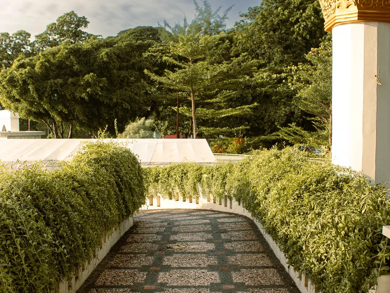 A hedged garden path running toward late afternoon sun